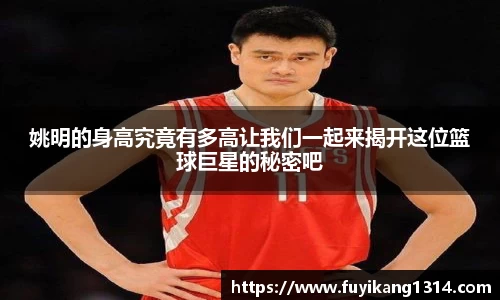 姚明的身高究竟有多高让我们一起来揭开这位篮球巨星的秘密吧